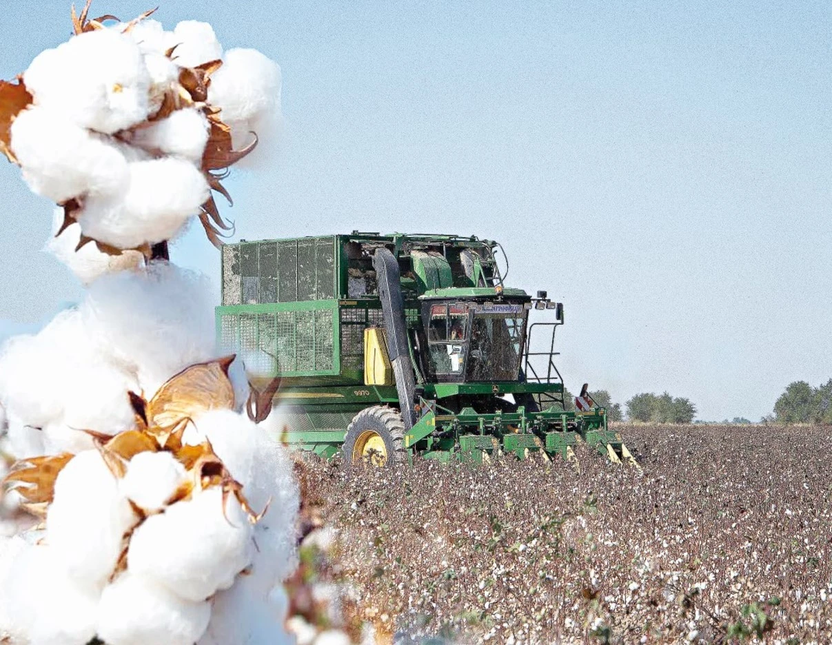 Maqta sharýashylyǵy memleket qoldaýyna muqtaj