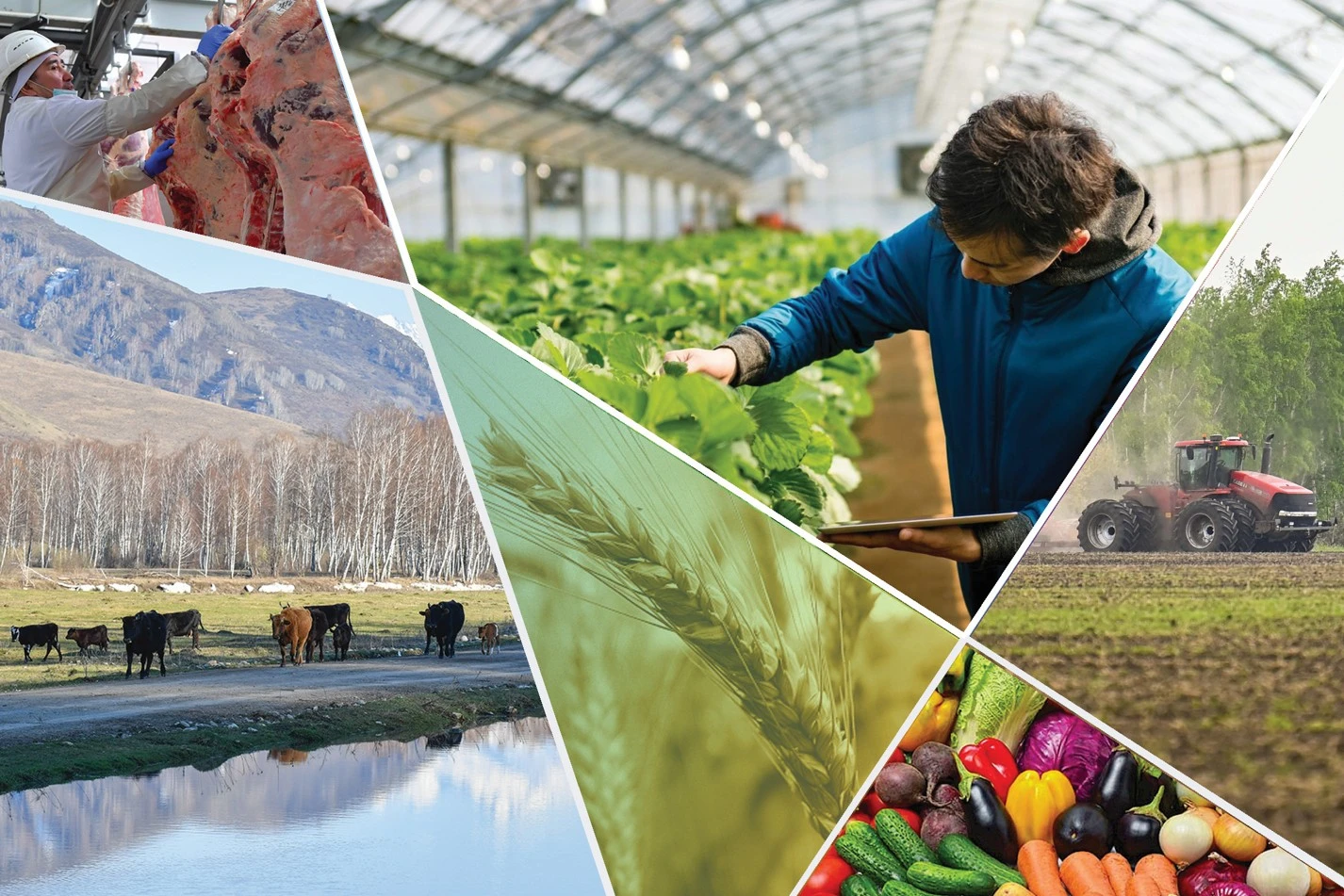 Alǵa jeteleıtin jańa agrosaıasat