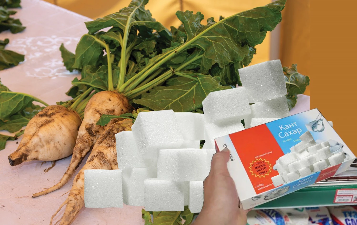 Qant týdyrǵan qaýip