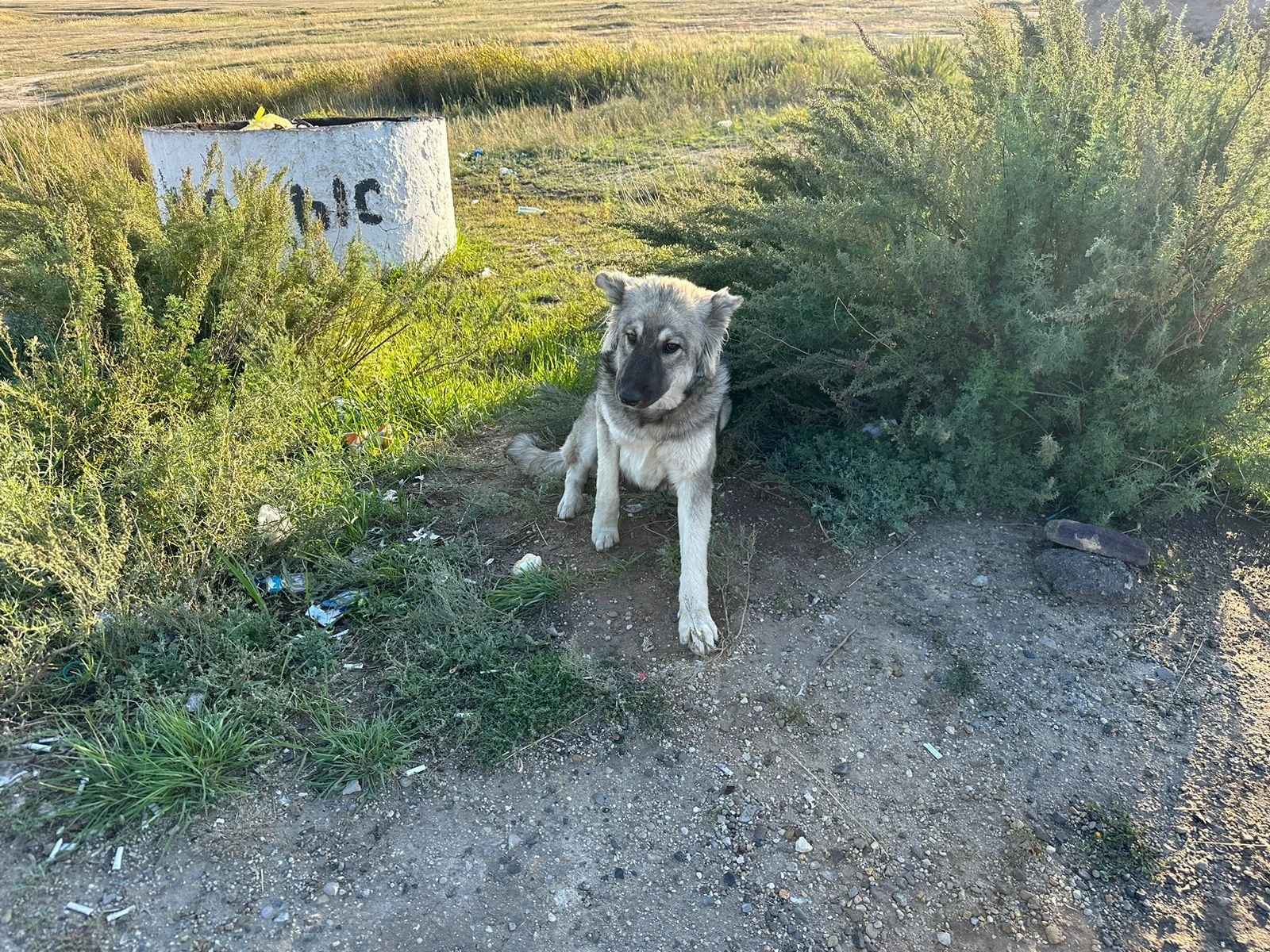 Torǵaıdyń Hatıkosy
