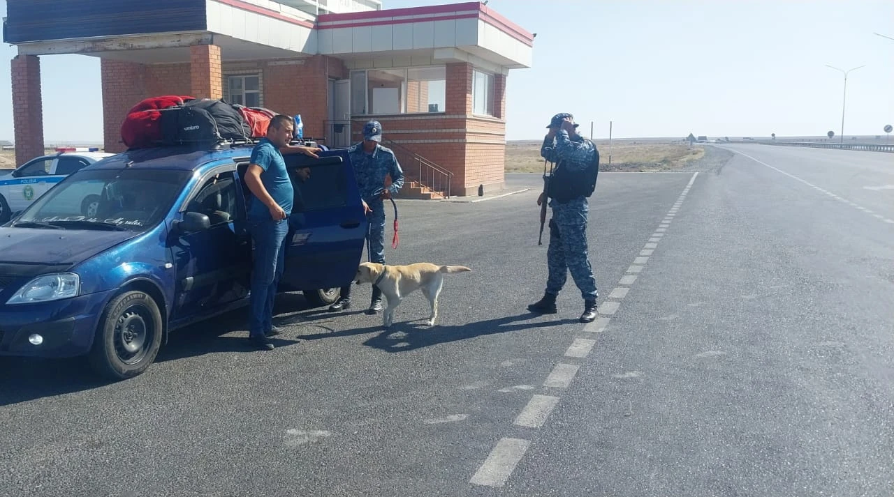 Iisshil ıttiń kómegi