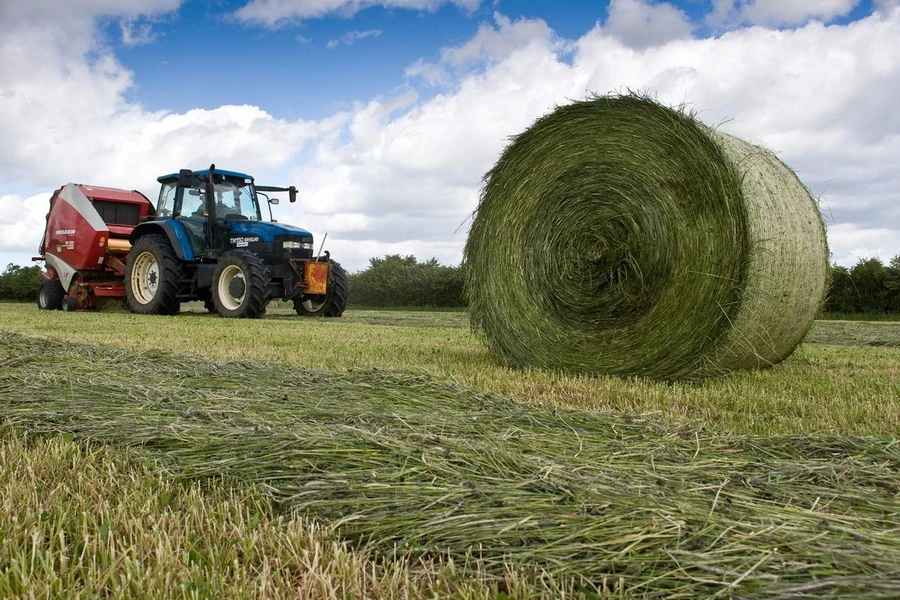 Jambyl oblysy: Qystan qysylmaıdy