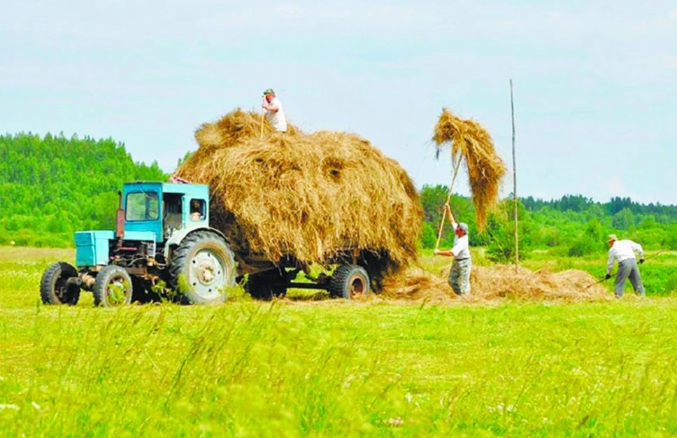 Pavlodar oblysy: Jutańdaǵan shabyndyq