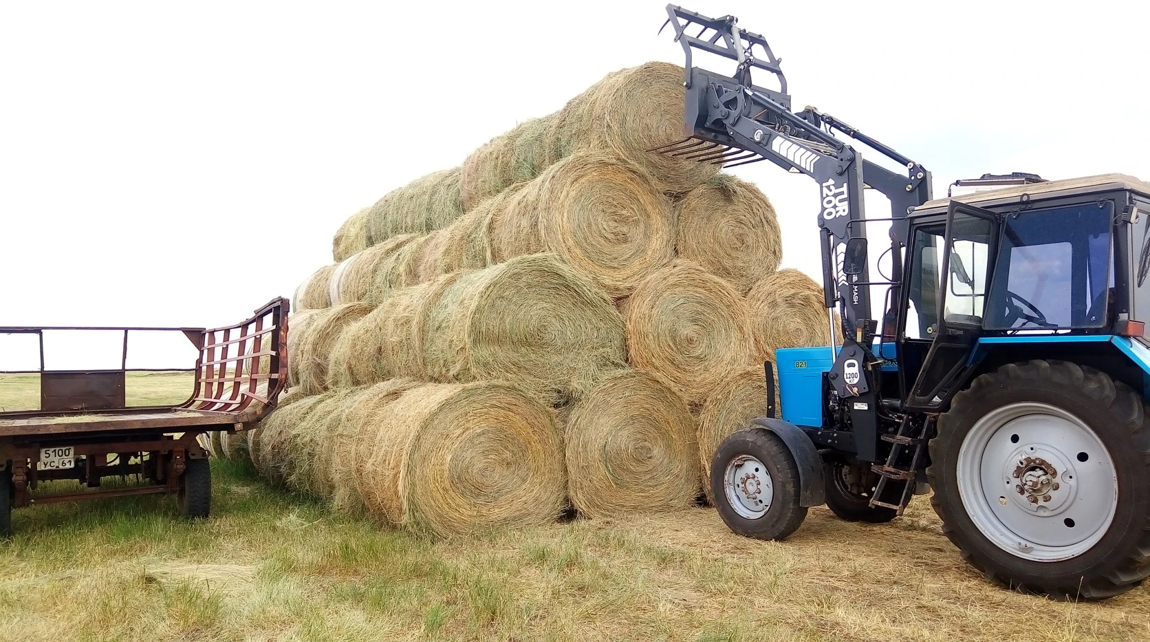 Jemshóp jyldaǵydan qymbat