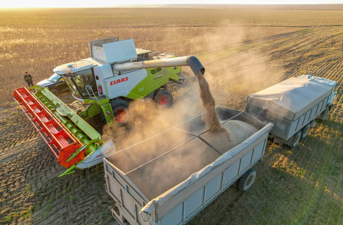 Arqanyń altyn qambasy