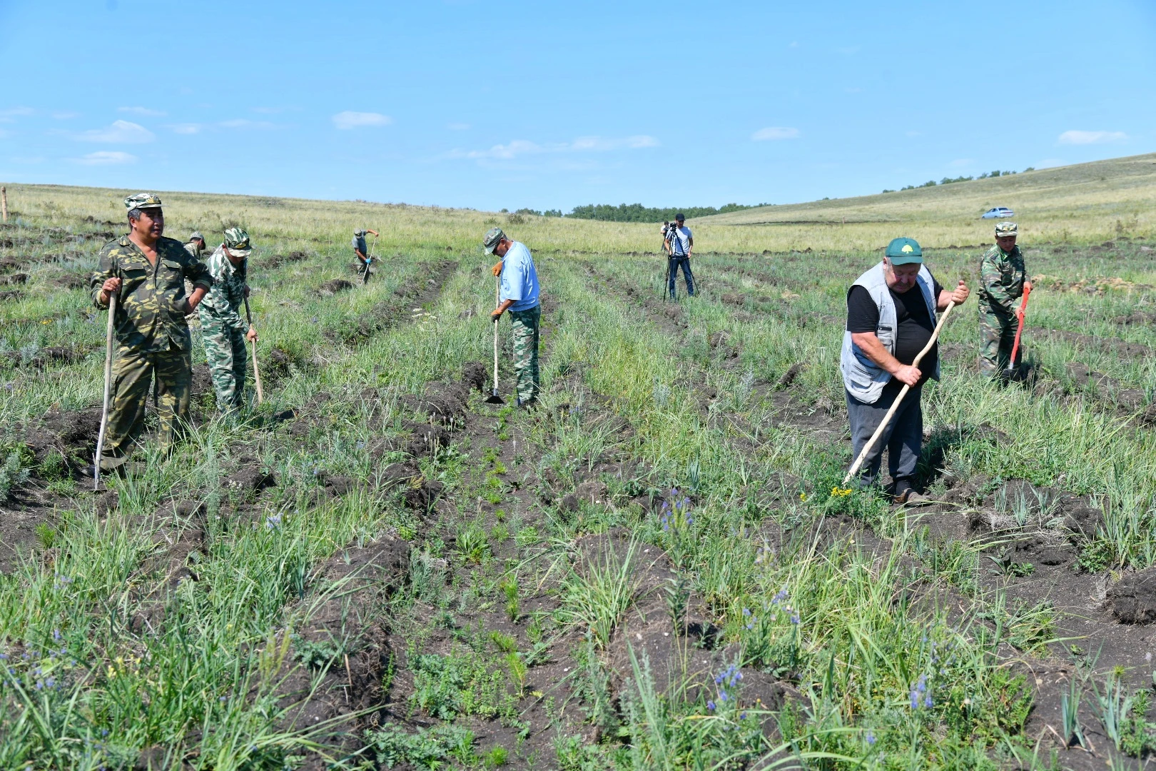 Jańaarqanyń jasyl alqasy