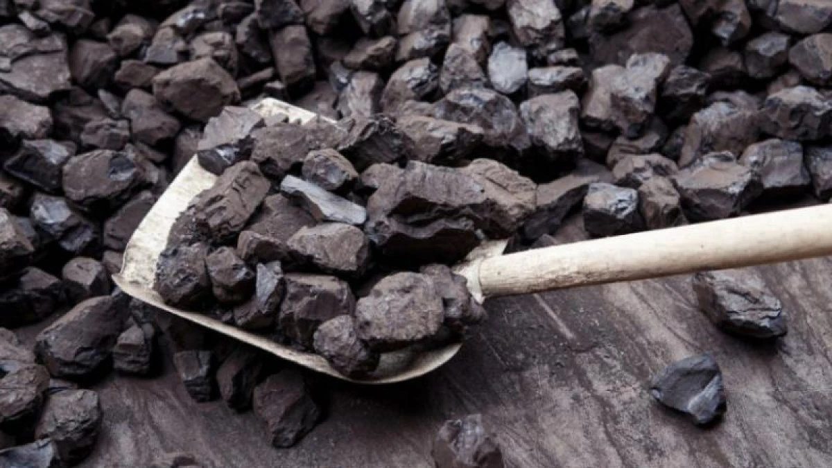 Soltústik Qazaqstan oblysy: Otyn narqy oınap tur