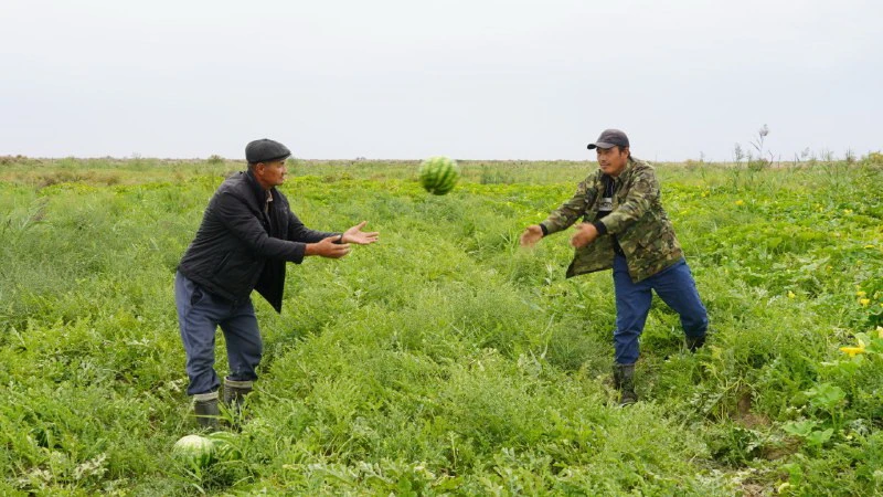 Shaǵyn aýyl shattyǵy