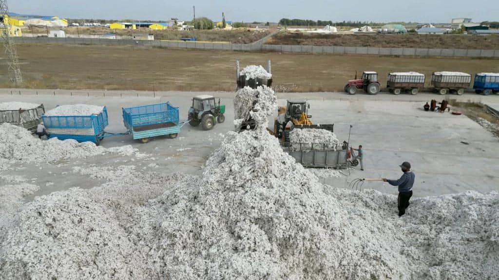 О́ńdeý ónerkásibin damytý múmkindigi