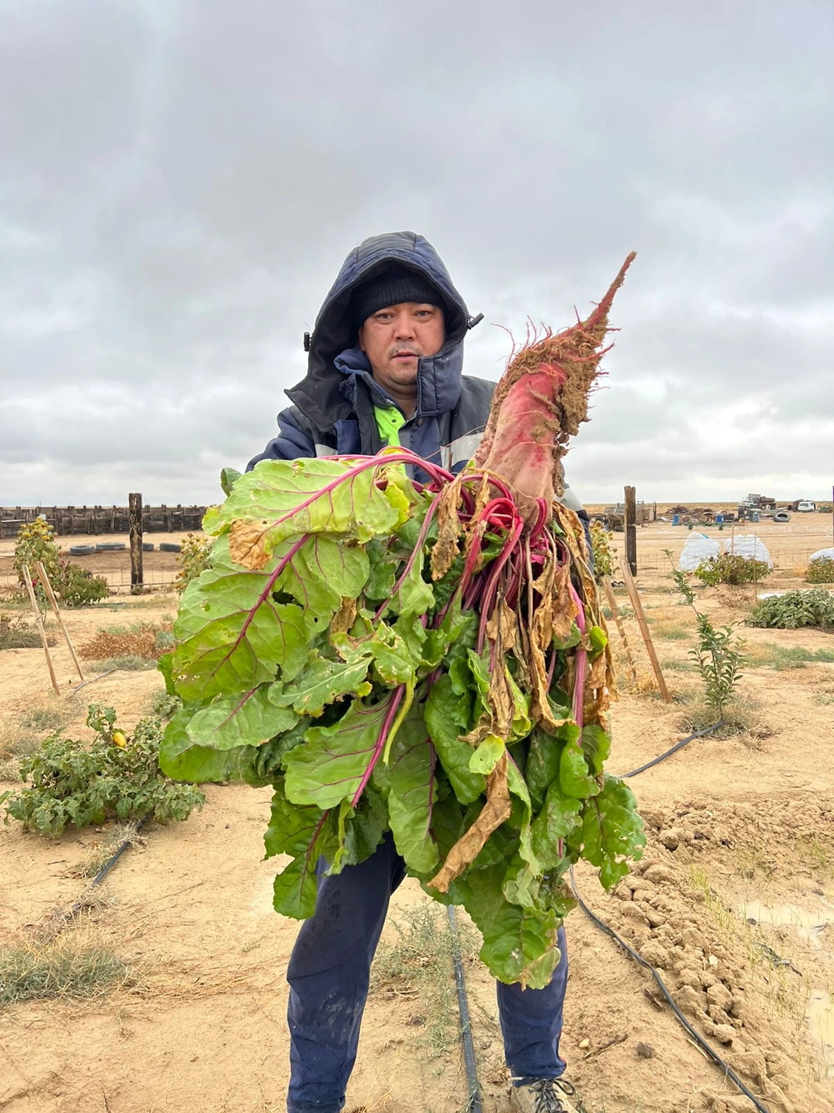 Sharýasy qojyramaǵan qojalyq