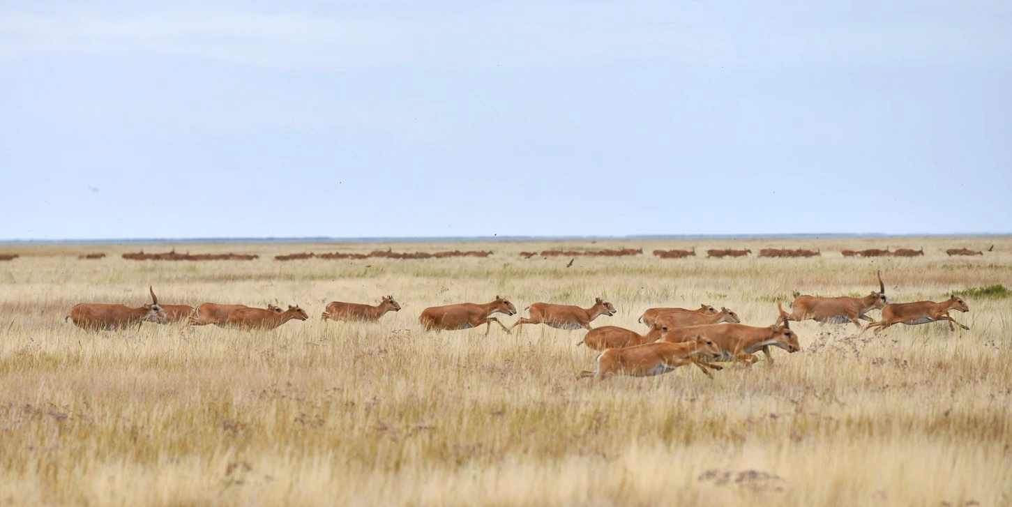 О́sken jerge syımaı ketip barady...