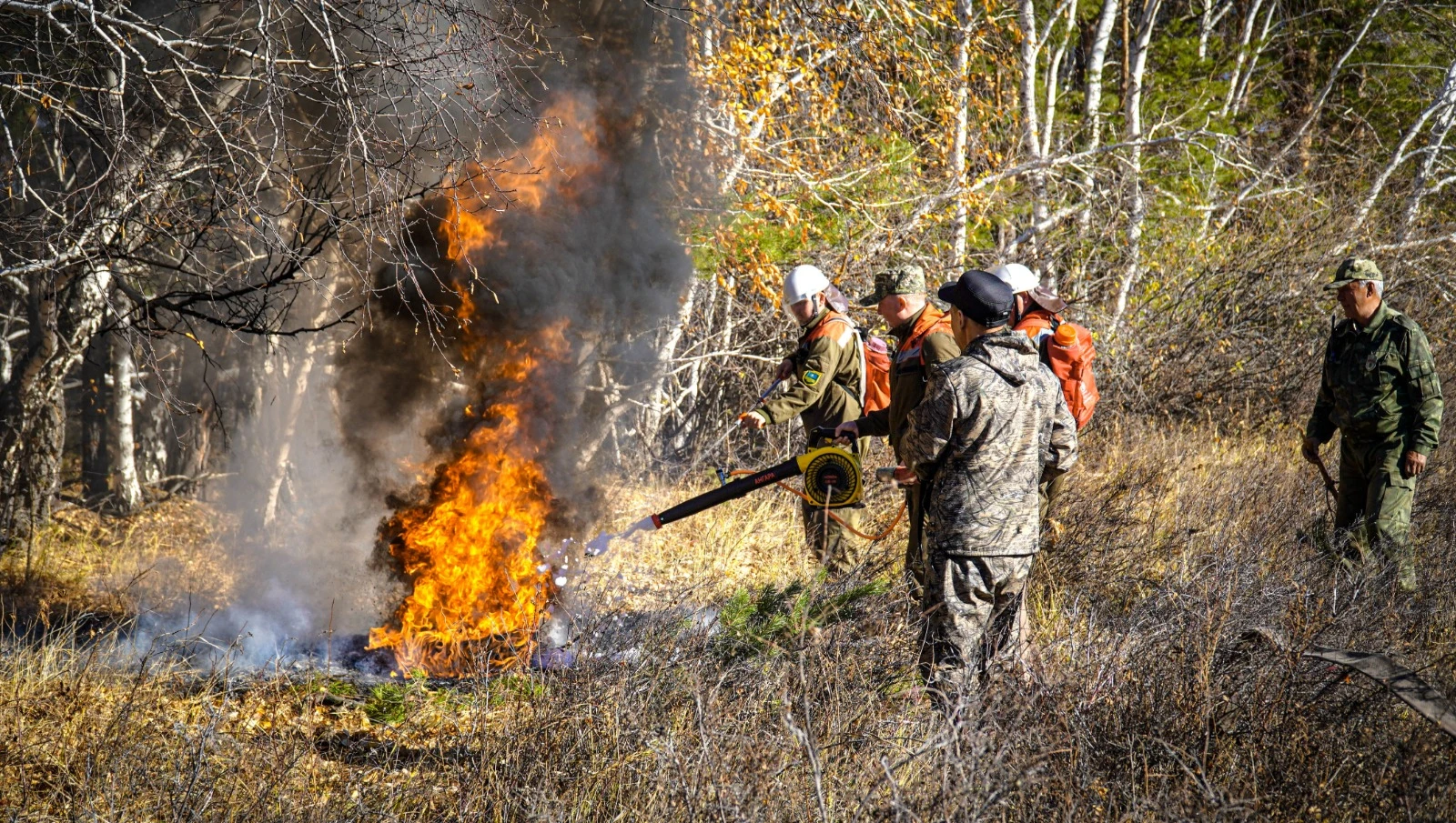 Orman órtine jol bermeý amaly