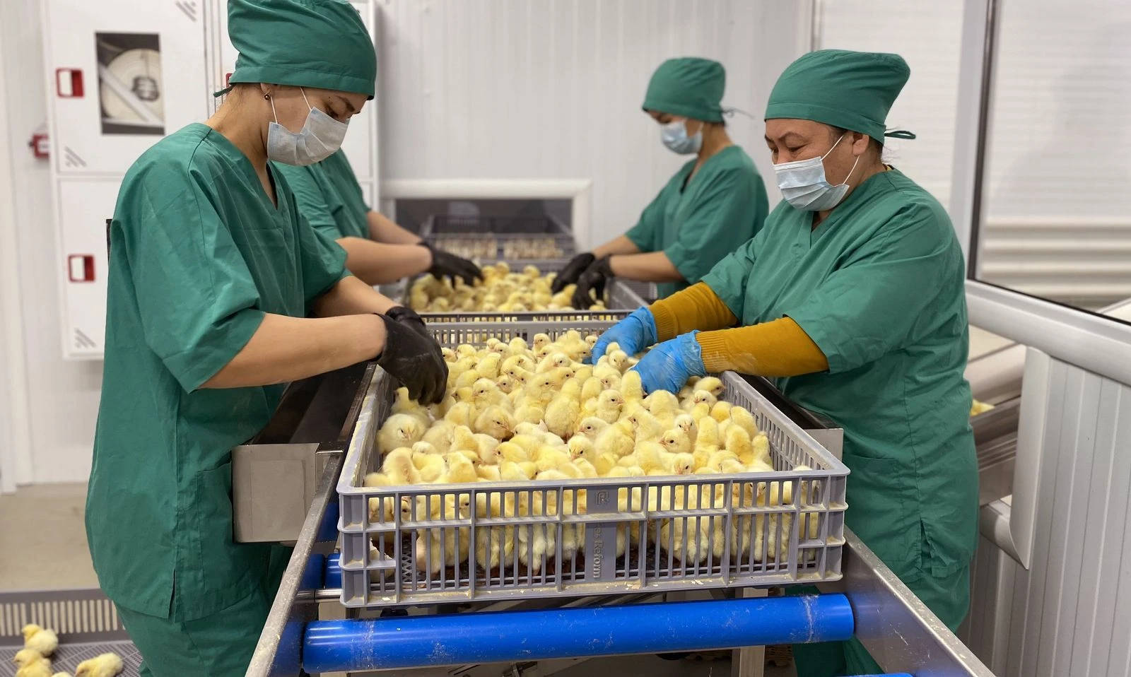 «Aýyl amanaty» qalaı oryndalyp jatyr?