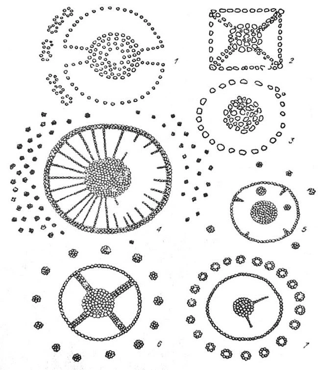 Skıf/saqtan qalǵan uly mura