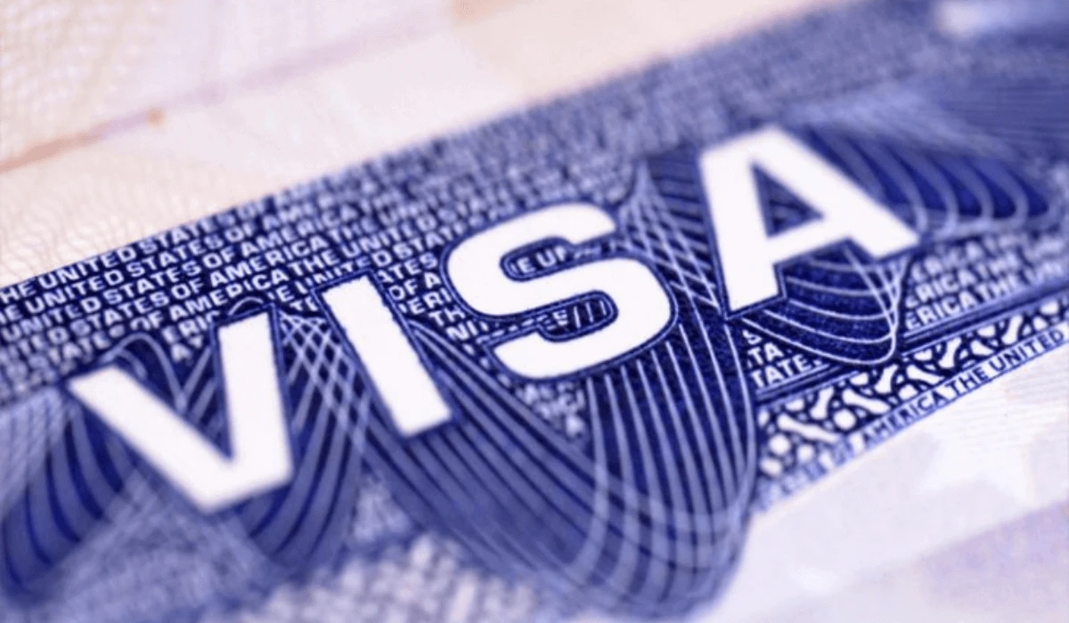 Vızasyz rejimniń paıdasy kóp