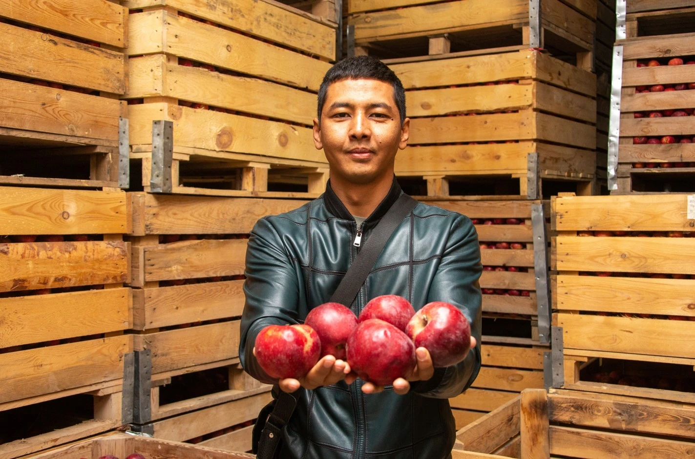 Jarkenttegi jemis-jıdek qoımasy