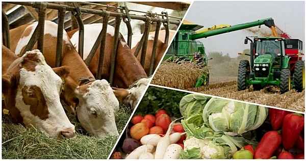 Qazaqtyń quty – aýylda