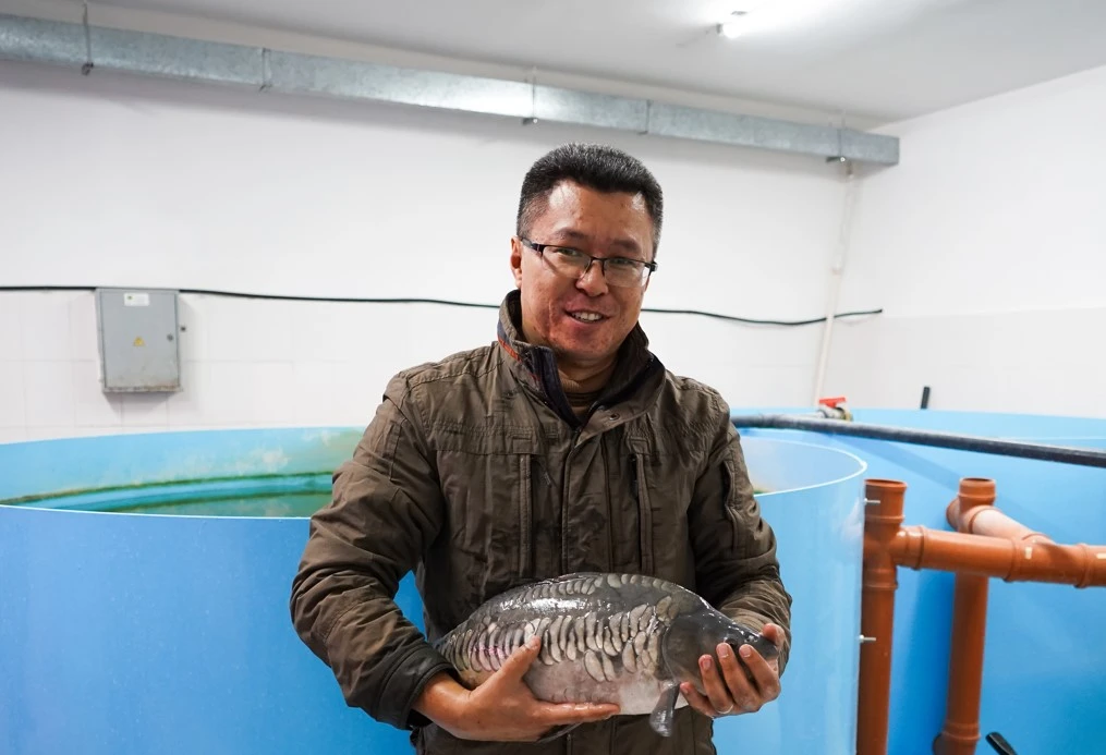 Baı bolǵyń kelse, balyq ósir!