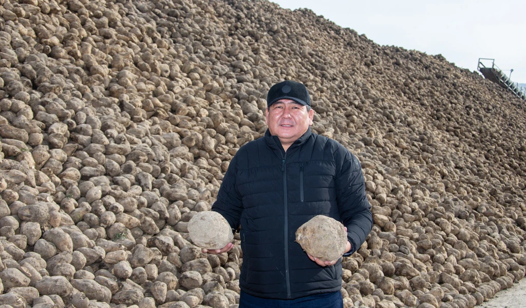 Aqsý qant zaýyty qaıta ashyldy