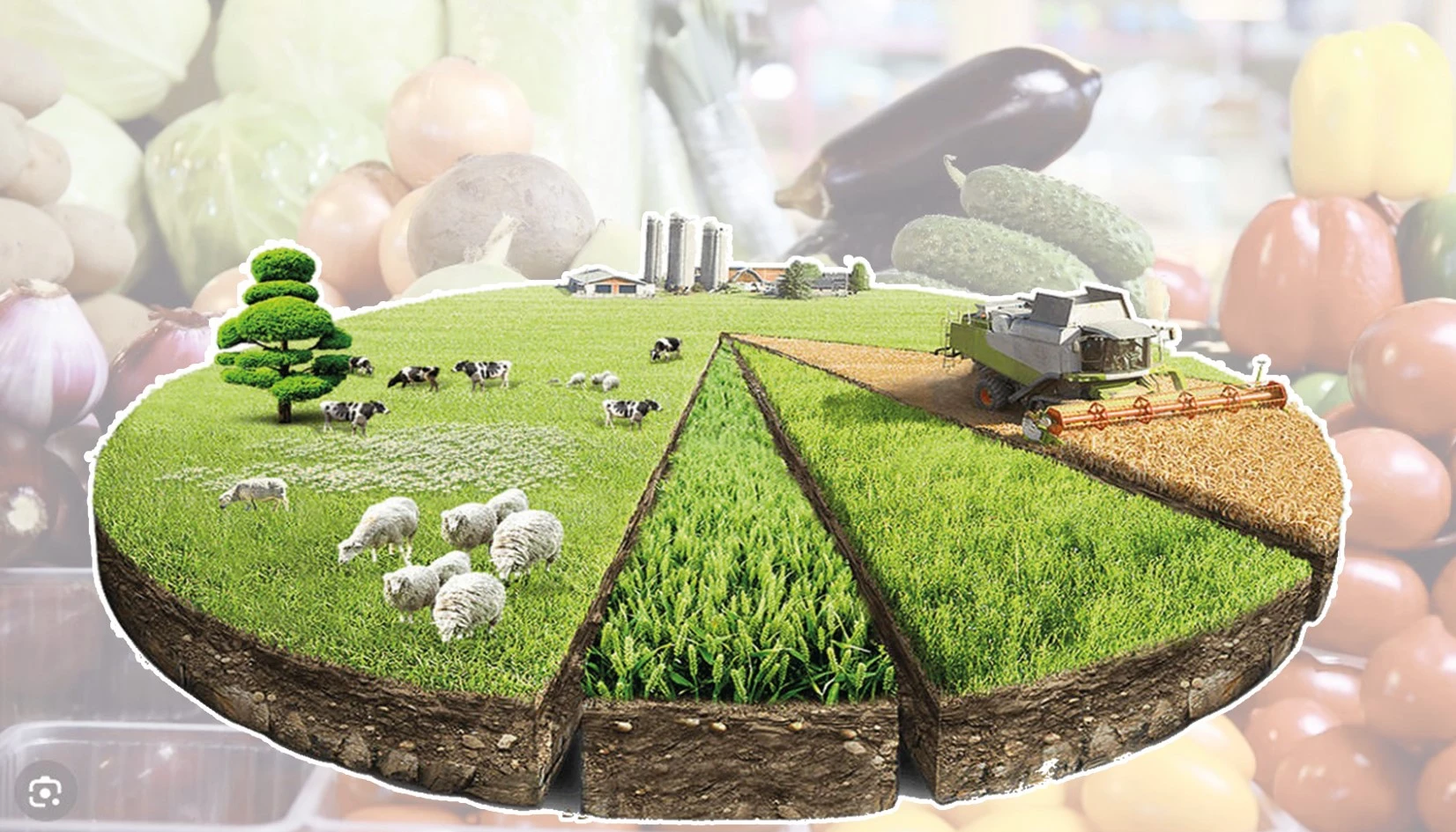 Aqsýlyq sharýalarǵa aýyr tıgen salyq