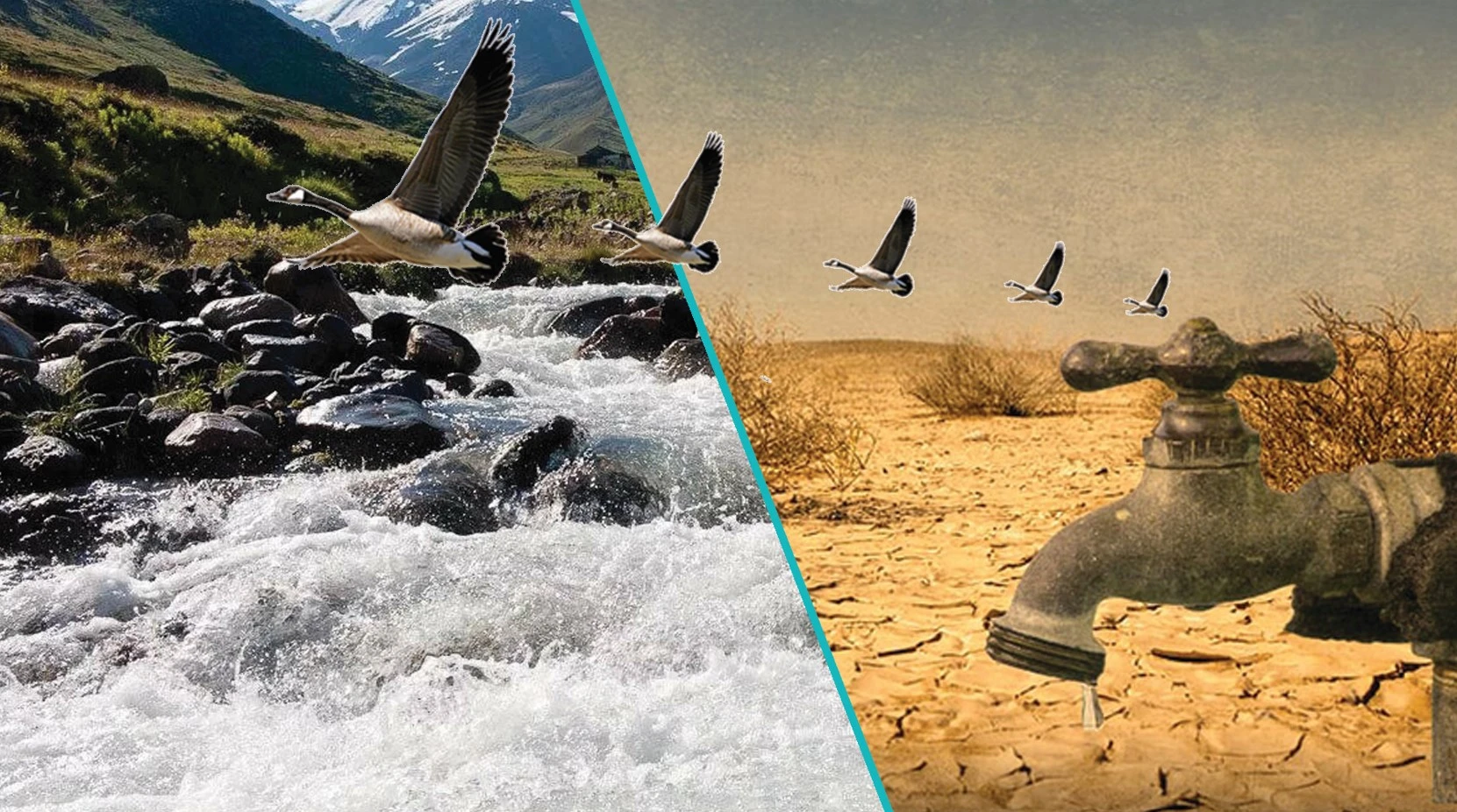 Ortalyq Azııaǵa ortaq sý máselesi