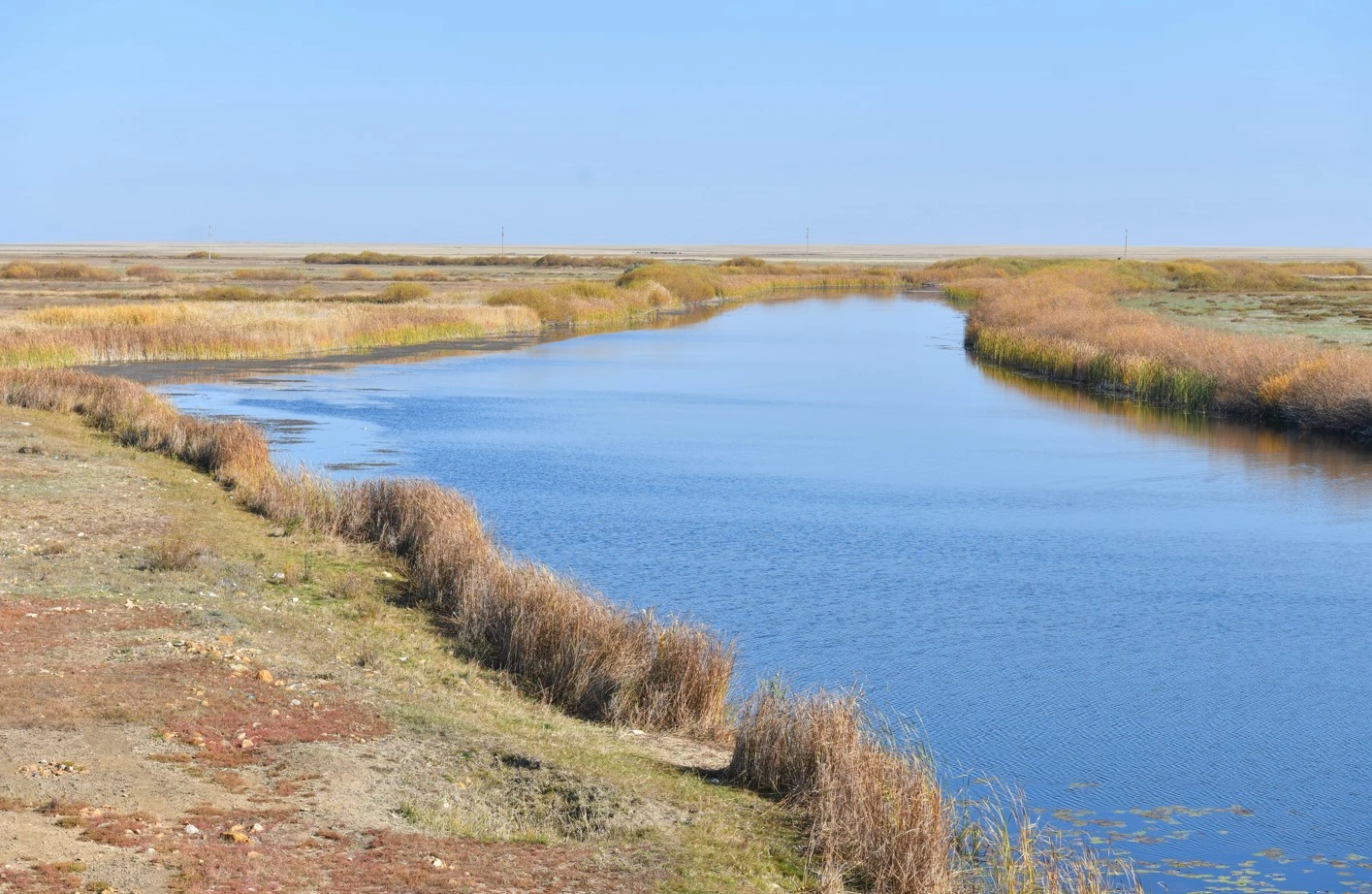 Aýyz sýsyz aýyl qaıtip kún kórer?