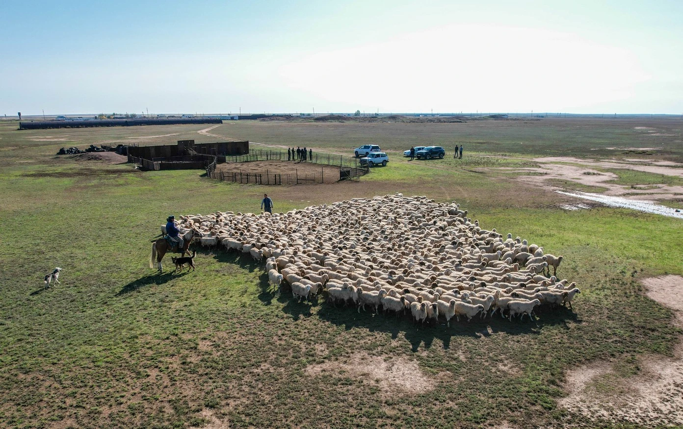 «Aýyl amanaty»: Baǵdarlama qaıtse baıandy bolady?