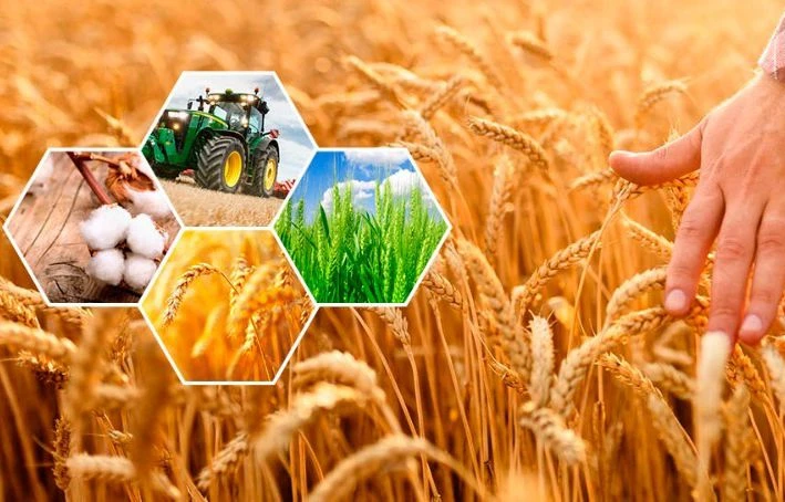 Eńbek adamynyń abyroıy