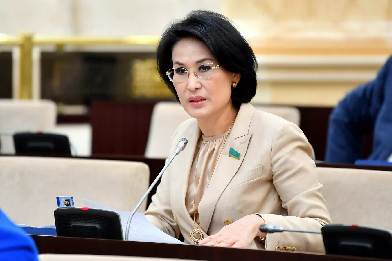 Senator: Mekteptegi aspazdardyń kópshiliginde  kásibı  bilim joq