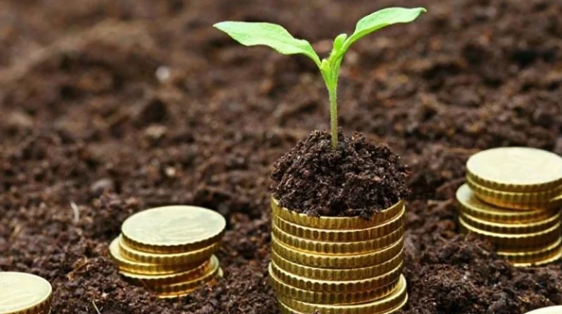 Jer salyǵyn tóleý mindetti