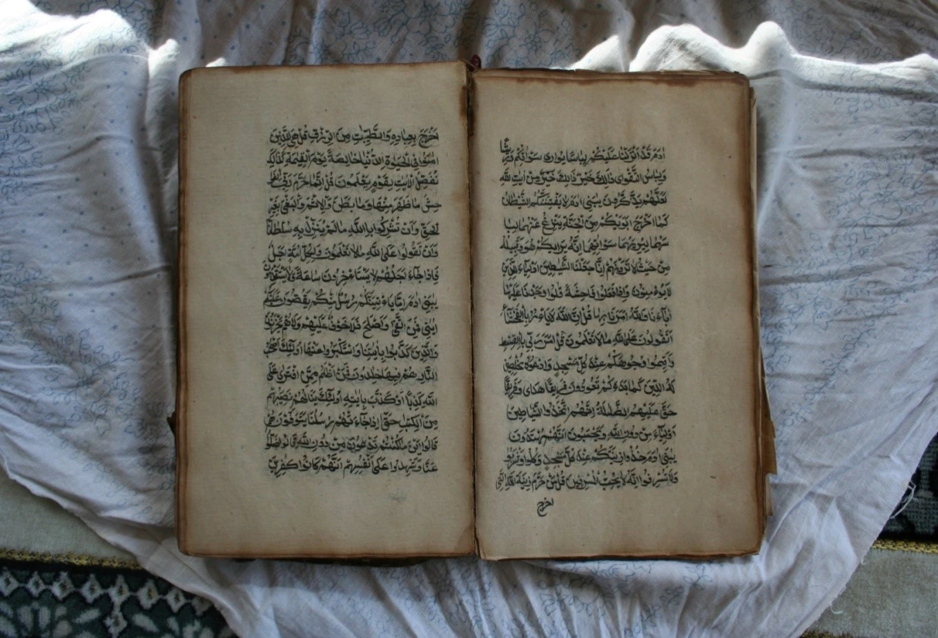 Tóle bıden jetken tábárik