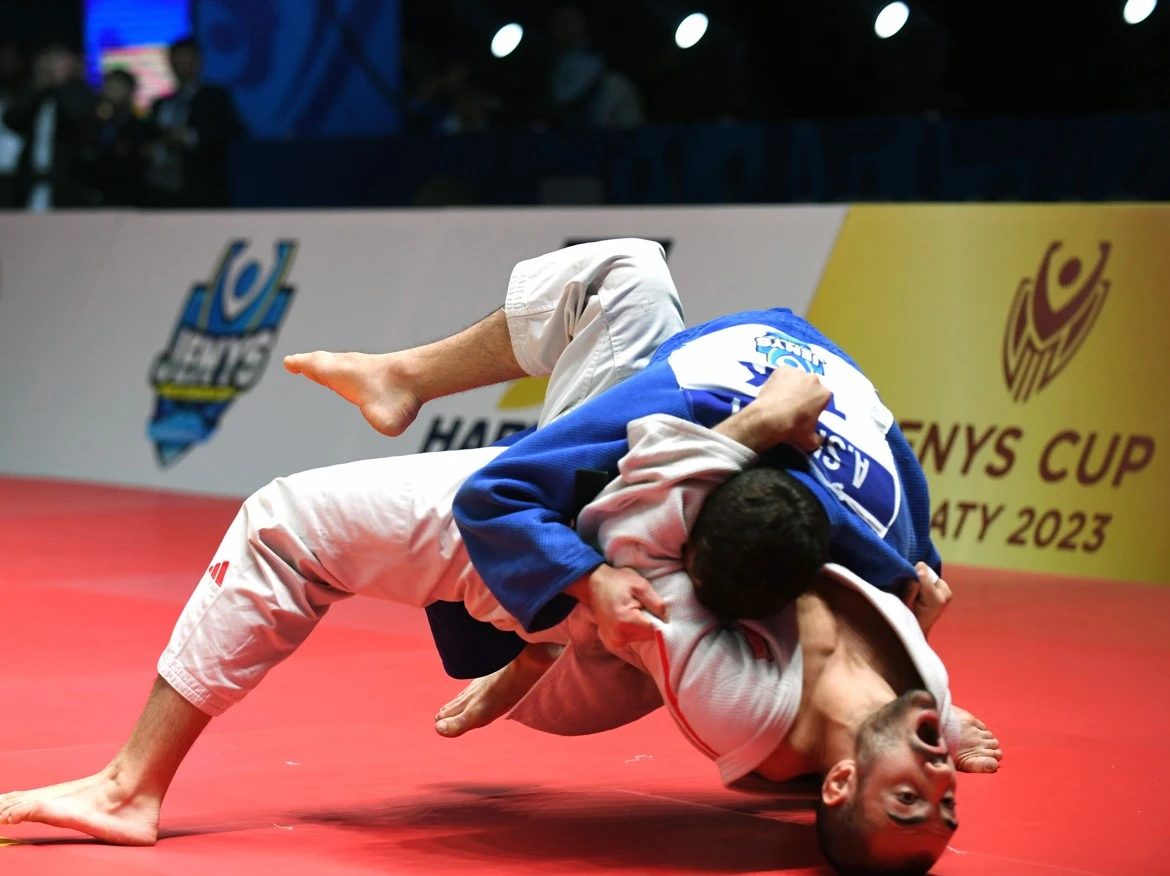 Tartysqa toly tatamı