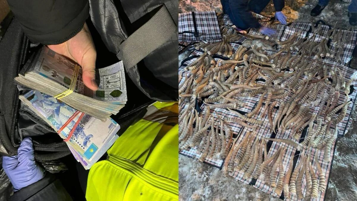 Quny 2 mlrd teńge. Sheteldikten aqbóken múıizi tárkilendi