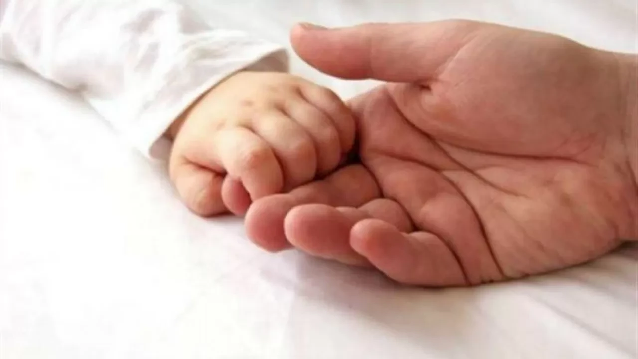 Elimizde Jańa jyl qarsańynda qansha sábı dúnıe esigin ashty?