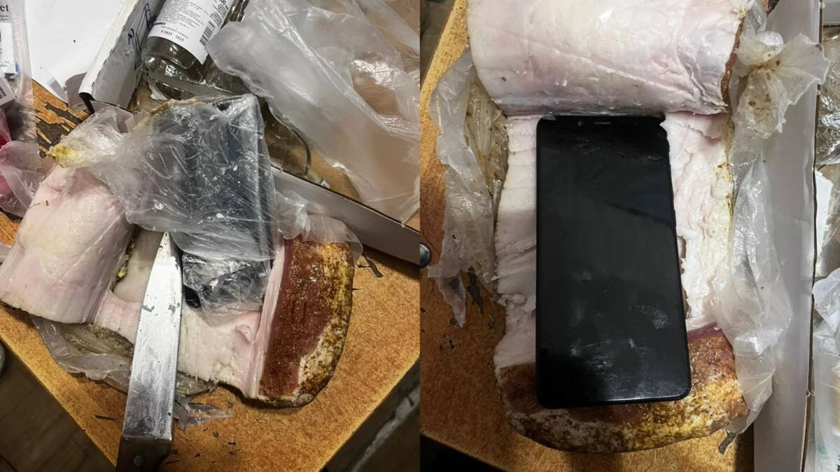 Telefondy shujyqqa jasyrǵan