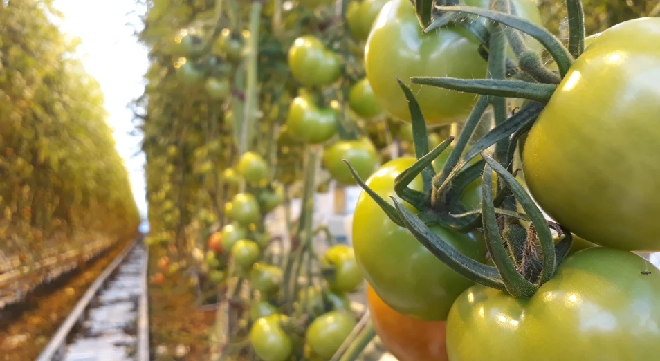 Ekibastuzdaǵy jylyjaı jabylmasa ıgi