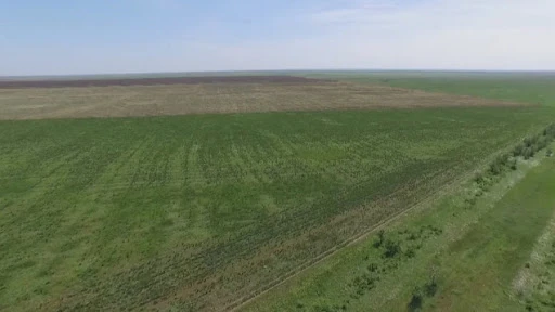 Zańsyz berilgen 10 mln gektar jer memleketke qaıtaryldy