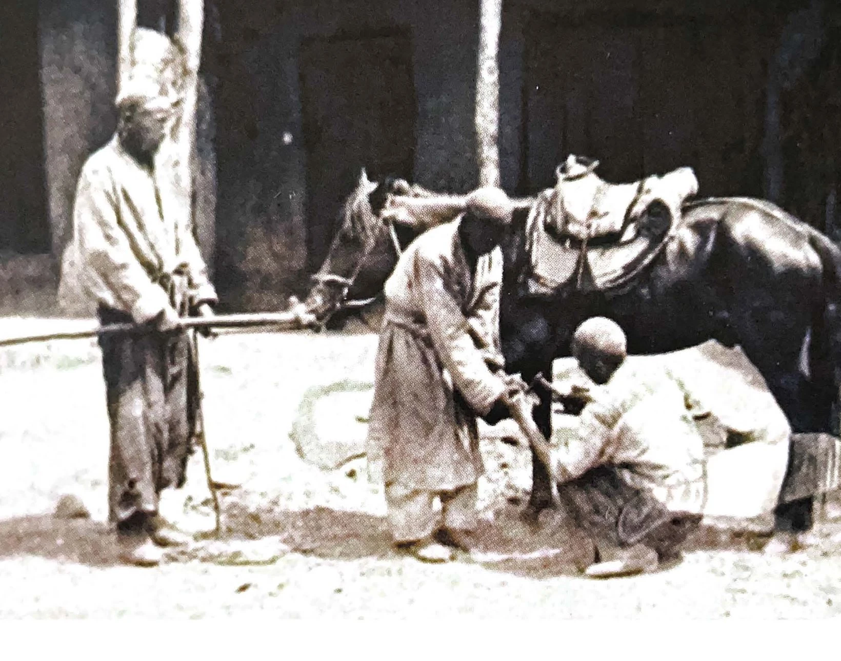 Qazaq – qashanda qazaq!