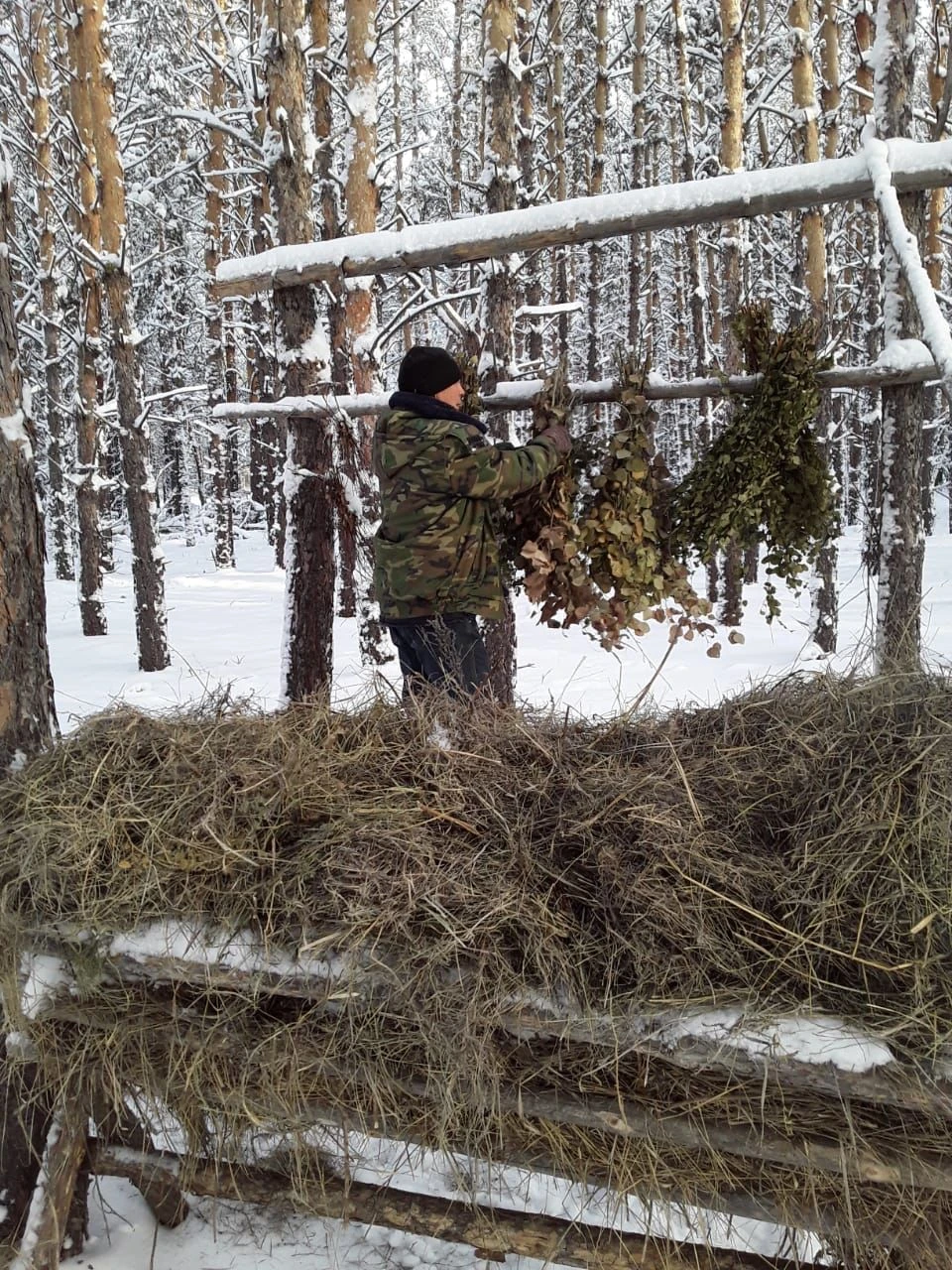 Ormanshy – túz taǵysynyń qamqory