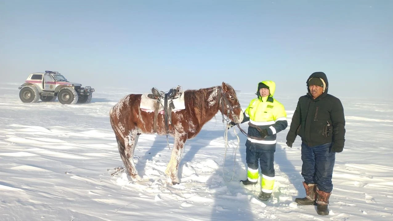 «Tórt kúnnen keıin tabyldy». Boranda adasqan malshy ıtiniń arqasynda aman qaldy