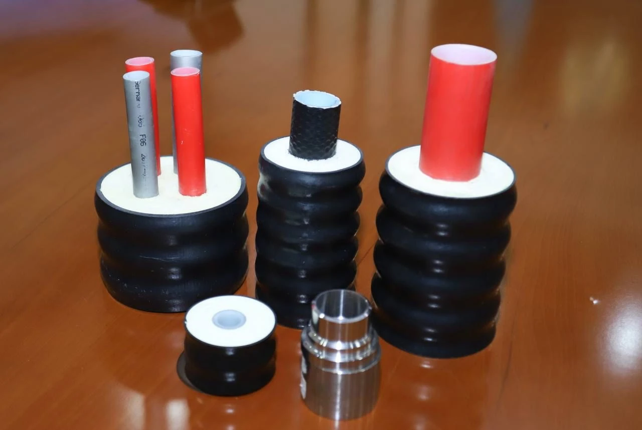 Jańa zaýyt jobasyna qol qoıyldy