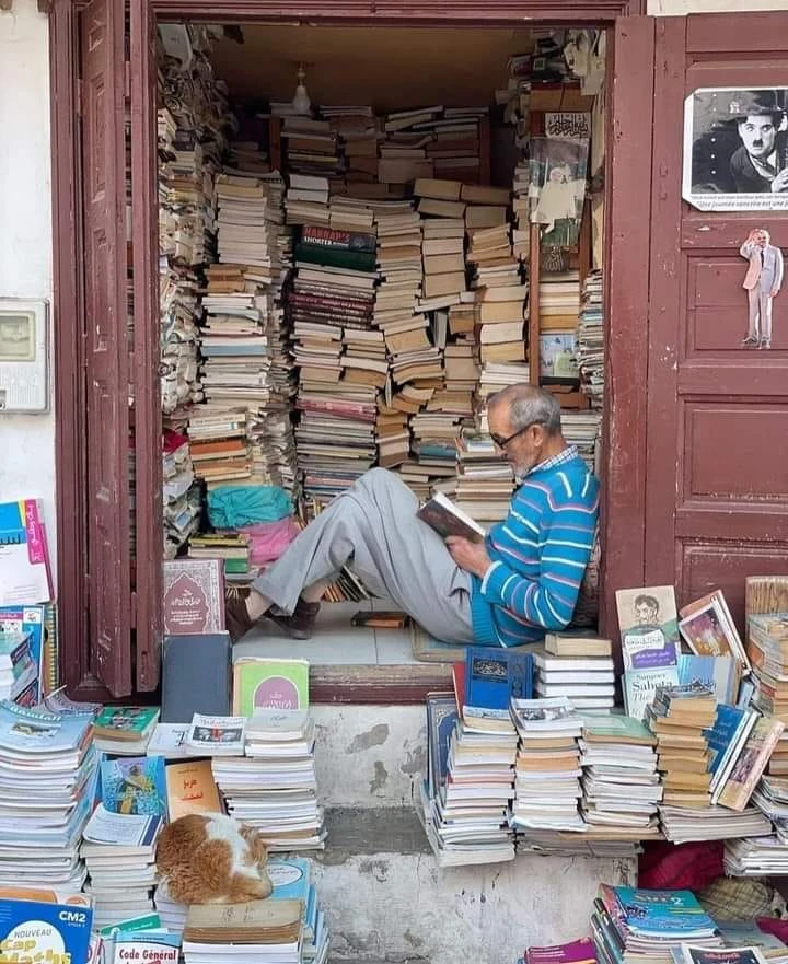 Kitap «kemirgen» kisi