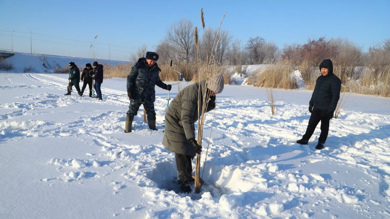 Qarmaq emes, qamys sal