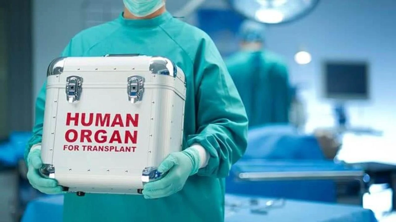 «Máıit donorlyǵyn qalpyna keltirý qajet». Eks-mınıstr transplantasııadaǵy túıtkildi aıtty