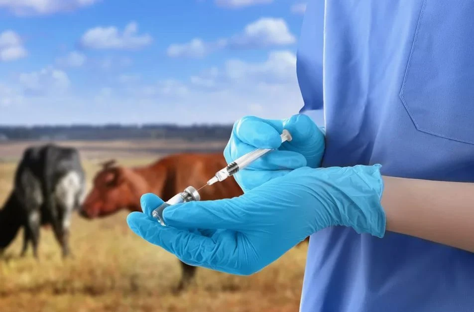 Jańa qurylǵylarmen jabdyqtalady