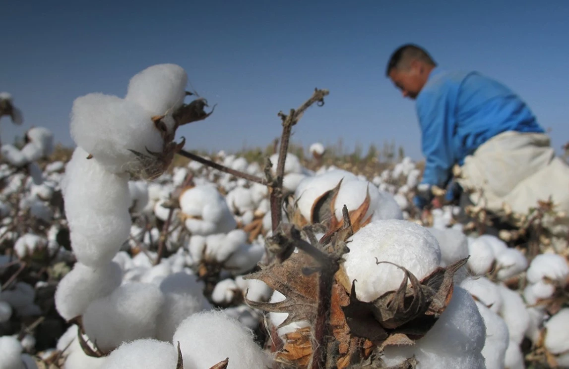 Qazaq – qashanda qazaq!