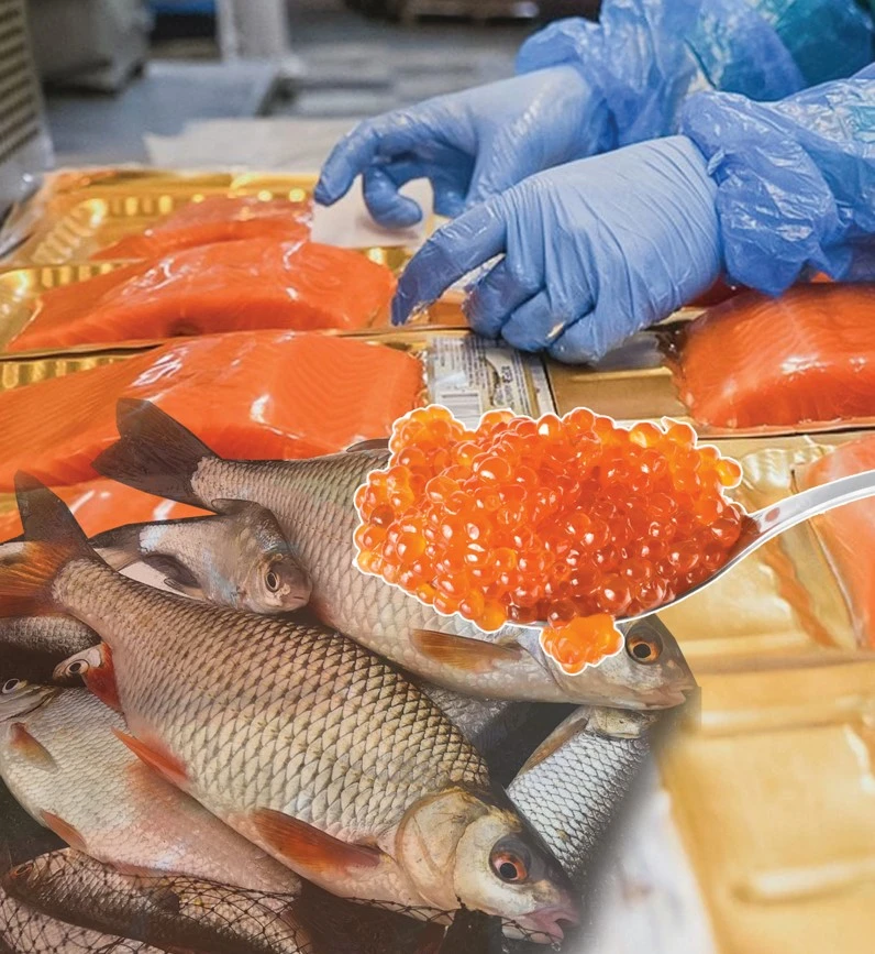 Balyq kásibine – ǵylymı kózqaras