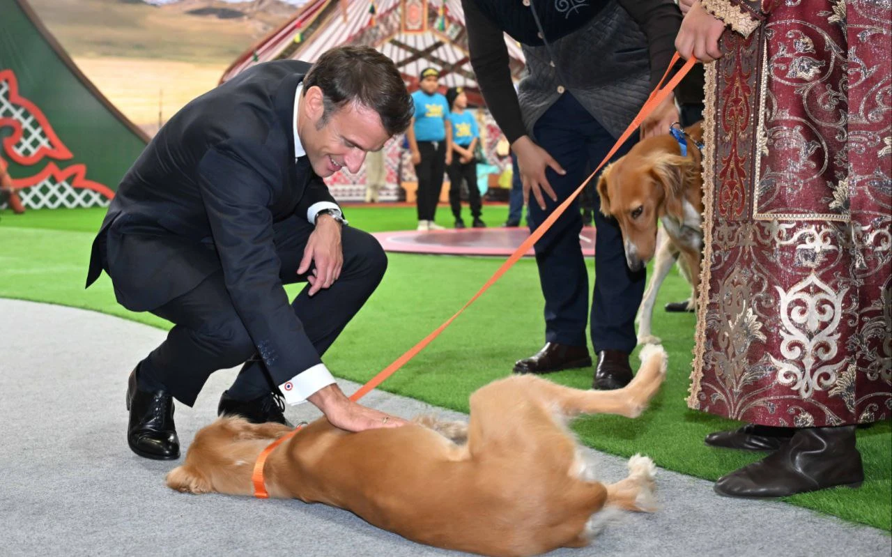 Qasym-Jomart Toqaev Fransııa Prezıdentine qazaqy tazynyń eki kúshigin syılady