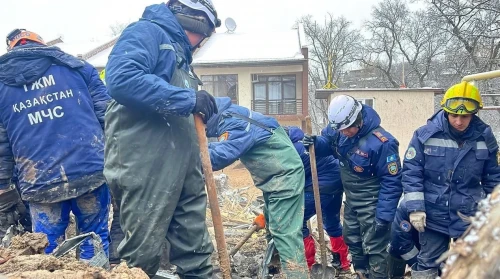 Almatydaǵy laı kóshkini: Oqıǵa ornyna qala ákimi bardy