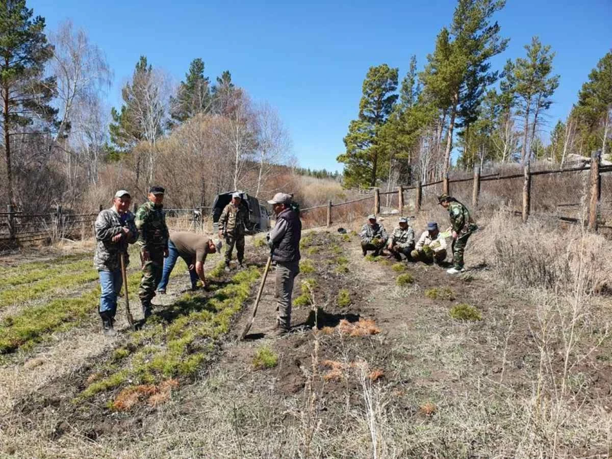 Orman sharýashylyǵy qyzmetkerleriniń jalaqysy 100%-ǵa artady – mınıstr